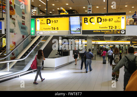 KLM Flugzeug steht auf dem Rollfeld am Flughafen Schiphol in Amsterdam, Niederlande. 4. August 2014. Stockfoto