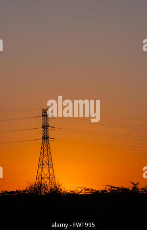 Silhouette von Stromleitungen und Getriebe ragt bei Sonnenuntergang Stockfoto