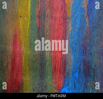 schön bunt lackiertem Sperrholz Kunst Hintergrund Stockfoto