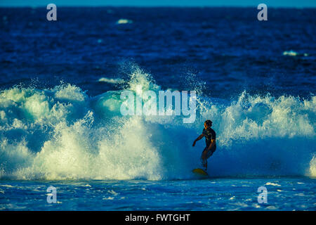 Surfen in Maui Stockfoto