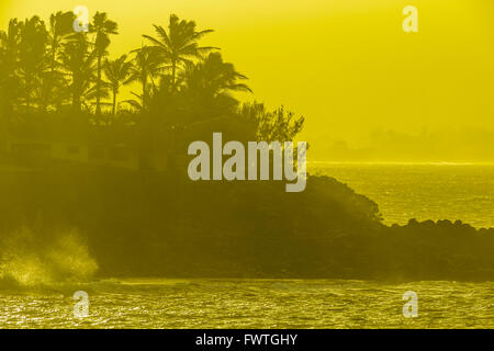 Ho'okipa Strand Wellen, Maui in gelben Dunst von Sonnenuntergang Stockfoto