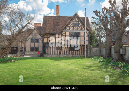 Mittelalterliche halbe Fachwerkhaus, der Rückseite des Halls Croft, der große jakobinischen Haus von Shakespeares Tochter, Susanna, und ihr Ehemann Dr. John Hall. Stockfoto