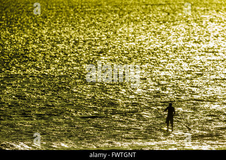 Paddlle Surfen, Maui Stockfoto