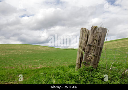 Ein altes Tor post am Eingang zu einem Feld in den kalkhaltigen Hügeln in der Nähe von Yorkshire Wolds Driffield in East Yorkshire Stockfoto