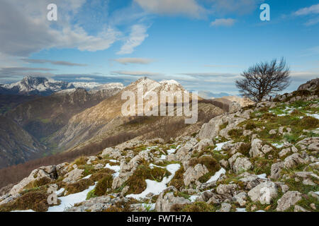 Frühling am Morgen in Picos de Europa Nationalpark, Asturien, Spanien. Stockfoto