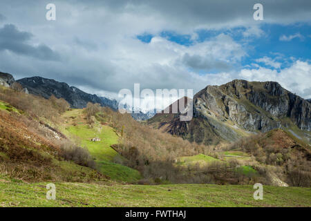 Frühling-Nachmittag in Picos de Europa Nationalpark, Asturien, Spanien. Stockfoto