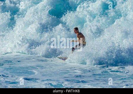 Surfen in Maui Stockfoto