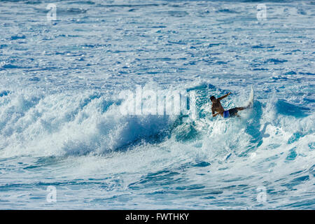 Surfen in Maui Stockfoto