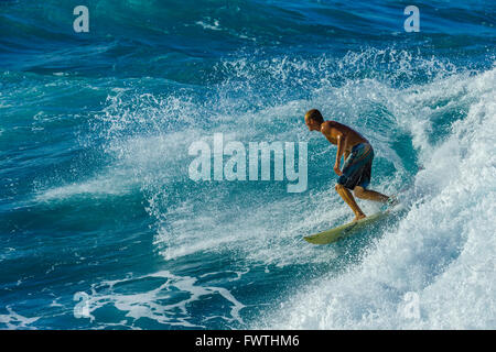 Surfen in Maui Stockfoto