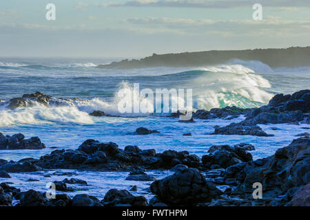 Wellen am Ho'okipa Beach Park, Maui Stockfoto