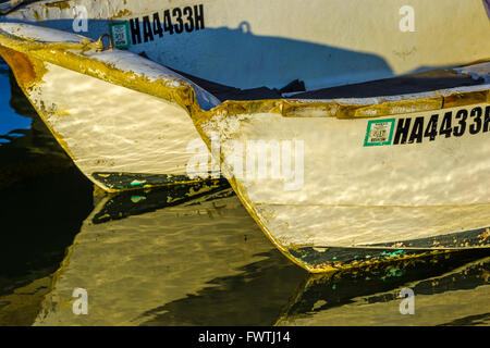 im Alter von Katamaran in Lahaina Harbor im Morgengrauen auf Maui Stockfoto