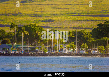 Lahaina Harbor auf Maui Stockfoto