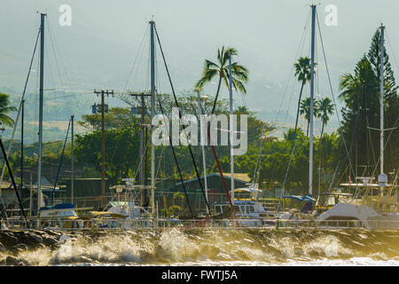 Lahaina Harbor auf Maui Stockfoto