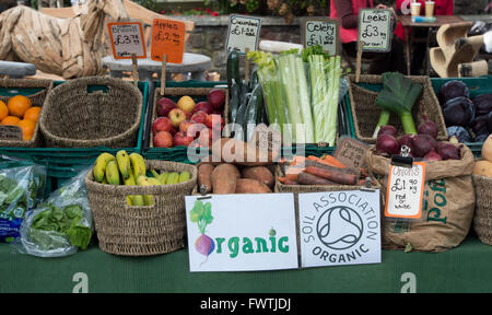 Bio-Obst und Gemüsemarkt stall. Wells, Somerset, England Stockfoto