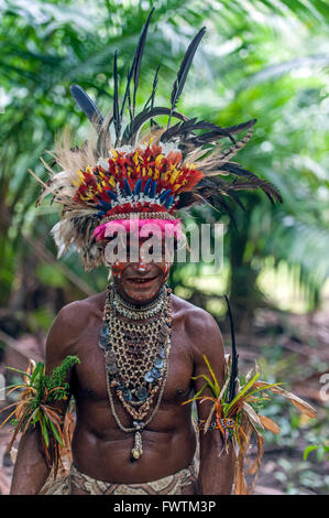 Einheimischen Tänzer tragen traditionelle Kopfbedeckung Maclaren Harbour, Papua New Guinea Stockfoto