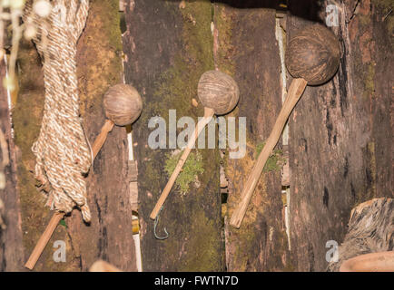 Dipper Kokosnuss Schale und Ton-Topf mit grünem Moos auf Holz Stockfoto