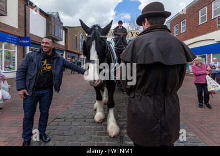Harveys Brauerei Dray und Pferde, Lewes, Sussex, UK Stockfoto