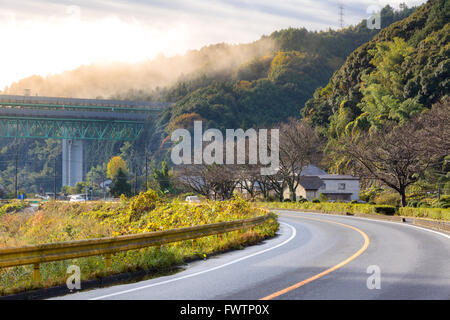 Straße im Herbst mit bunten Laub Baum im ländlichen Raum. Stockfoto