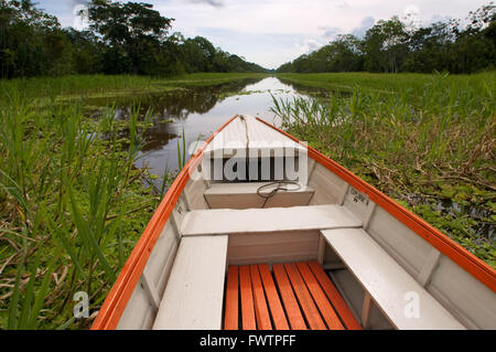 Amazonas-Regenwald: Expedition mit dem Boot entlang des Amazonas-Flusses in der Nähe von Iquitos, Loreto, Peru. Navigation einer der Nebenflüsse des Amazonas nach Iquitos etwa 40 Kilometer in der Nähe der Stadt von Indiana. Stockfoto