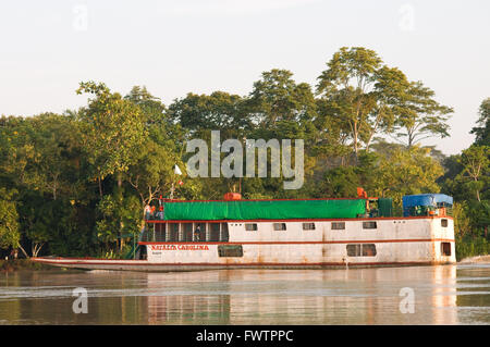 Amazonas-Regenwald: Expedition mit dem Boot entlang des Amazonas-Flusses in der Nähe von Iquitos, Loreto, Peru. Navigation einer der Nebenflüsse des Amazonas nach Iquitos etwa 40 Kilometer in der Nähe der Stadt von Indiana. Stockfoto