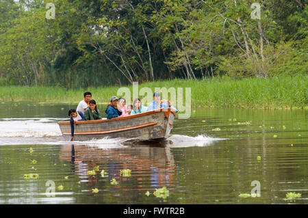 Explorama wenige Touristen auf einem Boot zu sehen, die rosa Süßwasser-Delphine in einem der Nebenflüsse des Amazonas nach Iquitos etwa 40 Kilometer in der Nähe von der Stadt von Indiana. Iquitos, Loreto, Peru. Stockfoto