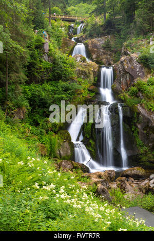 Triberger Wasserfälle ist einer der höchsten Wasserfälle im Schwarzwald, Deutschland Stockfoto