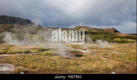 Dampf aus heißen Quellen von Geysir, Island Stockfoto