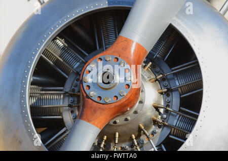 Sopwith Snipe. Zum 98.. Jahrestag der Royal Air Force wurden drei Flugzeuge des RAF Museums in der Horse Guards Parade, London, Großbritannien, ausgestellt Stockfoto