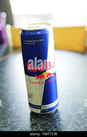 Red Bull trinken in der Dose Stockfoto