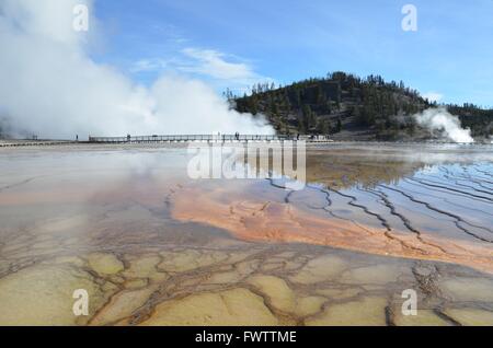 Ein Blick auf einige Geysire und heißen Quellen im Yellowstone-Nationalpark, Wyoming, USA Stockfoto