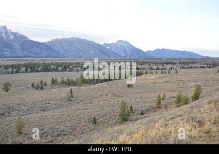 Ein Blick auf die Grand Teton Berge in der Nähe von Jackson, Wyoming, USA Stockfoto