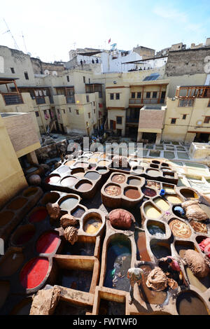 Becken der Farbe in der Fes Gerbereien, Fes, Marokko Stockfoto