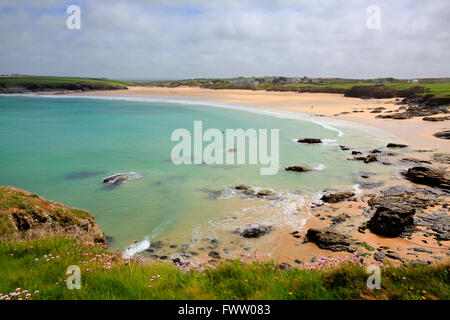 Harlyn Bay North Cornwall England UK in der Nähe von Padstow und Newquay in Frühlingsfarben türkisfarbenen Meer reichen Stockfoto