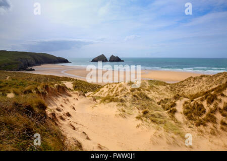 Holywell Bay North Cornwall UK in der Nähe von Newquay und Crantock Strand und Felsen Gull Stockfoto