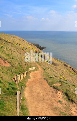 Wanderer auf dem Weg von Narzissen auf Filey Brigg, natürlichen Felsvorsprung, Filey, North Yorkshire, England, UK. Stockfoto