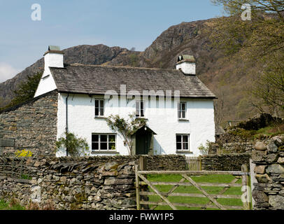 Yew Tree Cottage, ein traditionelles weißen Bauernhaus mit einem Schieferdach in der Nähe von Trover und Coniston Water im Lake District, Cumbria, Stockfoto