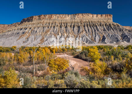 South Caineville Mesa im oberen Blue Hills, Fremonts Pappeln in herbstlichen Farben über Fremont River, Utah, USA Stockfoto