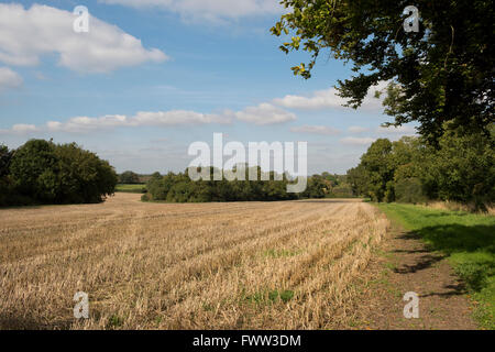 Bäume zu verfärben beginnen, Getreidestoppeln und verfolgen eine Rasen-Farm an einem schönen Herbsttag, Berkshire, September Stockfoto