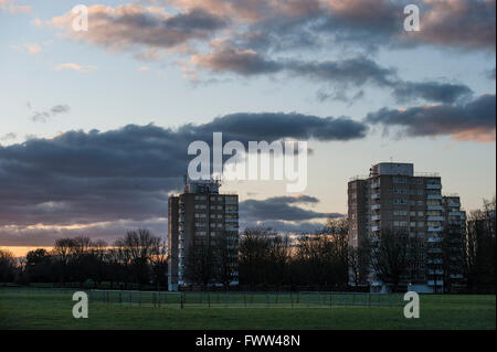 Einige städtische Wohnungen von einem Park in London Stockfoto