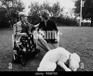 Dänische Sängerin Gitte Haenning mit Freundin und Pudel, Deutschland 1970er Jahre. Dänischen Sängerin Gitte Haenning mit Freundin und Pudel, Deutschland 1970. Stockfoto