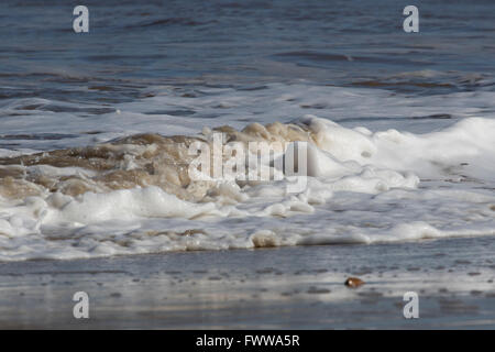 Brechenden Wellen entlang der Küstenlinie, Norfolk Stockfoto