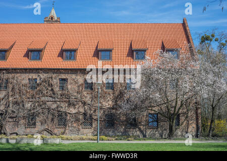 Architekturmuseum Wroclaw Kulturhauptstadt Europas 2016 Stockfoto