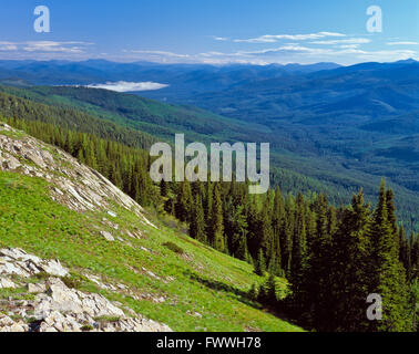 Percell Berge und South Fork Yaak Flusstal von Flatiron Berg Kootenai National Forest in der Nähe von Yaak, Montana gesehen Stockfoto