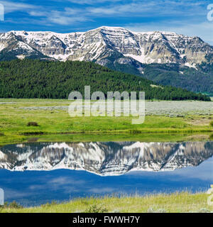 Culver-Teich im roten Felsen Seen national Wildlife Refuge unter den hundertjährigen Bergen in der Nähe von Lakeview, montana Stockfoto