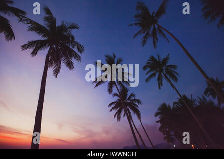 tropische Landschaft bei Nacht, Silhouetten von Palmen am Strand bei Sonnenuntergang Himmel Stockfoto