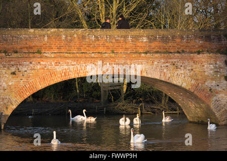 England Country River Bridge, Blick auf die Brücke über den Fluss Avon, die Bancroft Gardens mit dem Recreation Ground in Stratford Upon Avon, Großbritannien verbindet Stockfoto