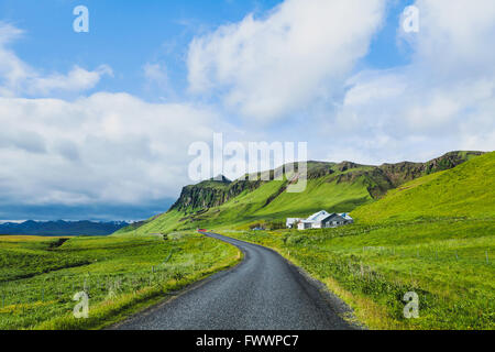 schöne asphaltierte Straße im grünen Tal, Reisekonzept, Sommerlandschaft aus Island Stockfoto