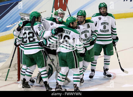 Tampa, Florida, USA. 7. April 2016. DOUGLAS R. CLIFFORD. North Dakota Fighting Hawks Torwart Cam Johnson (33), zentrieren, ist von Teamkollegen beim feiern ihren Sieges über die Denver Pioneers während der dritten Periode der Frozen Four Halbfinale Spiel in Amalie Arena in Tampa wimmelte. © Douglas R. Clifford/Tampa Bucht Mal / ZUMA Draht/Alamy Live News Stockfoto