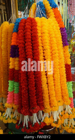 Blumen am Chatuchak-Markt in bangkok Stockfoto