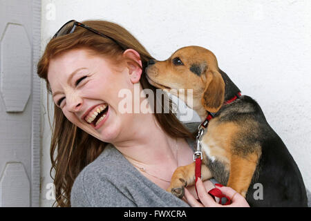 Porträt einer jungen Frau mit ihrem kleinen Hund Stockfoto